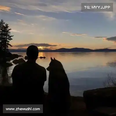 裘思纪